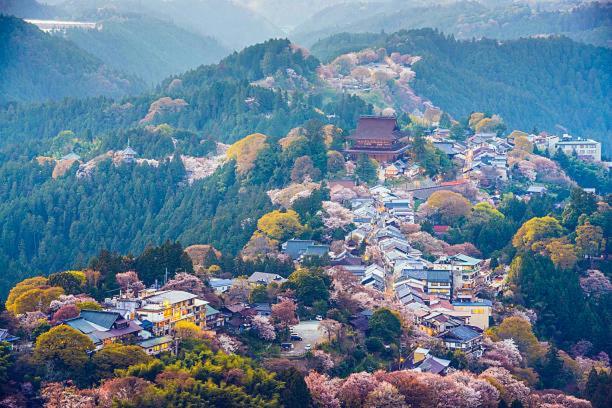 Kanau Gojo 外观 照片